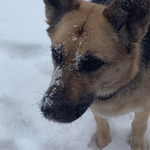 Meet your Posher, Jeff